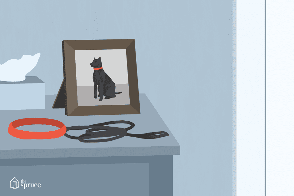 Healing After a Pet’s Passing: A Compassionate Guide to Grieving