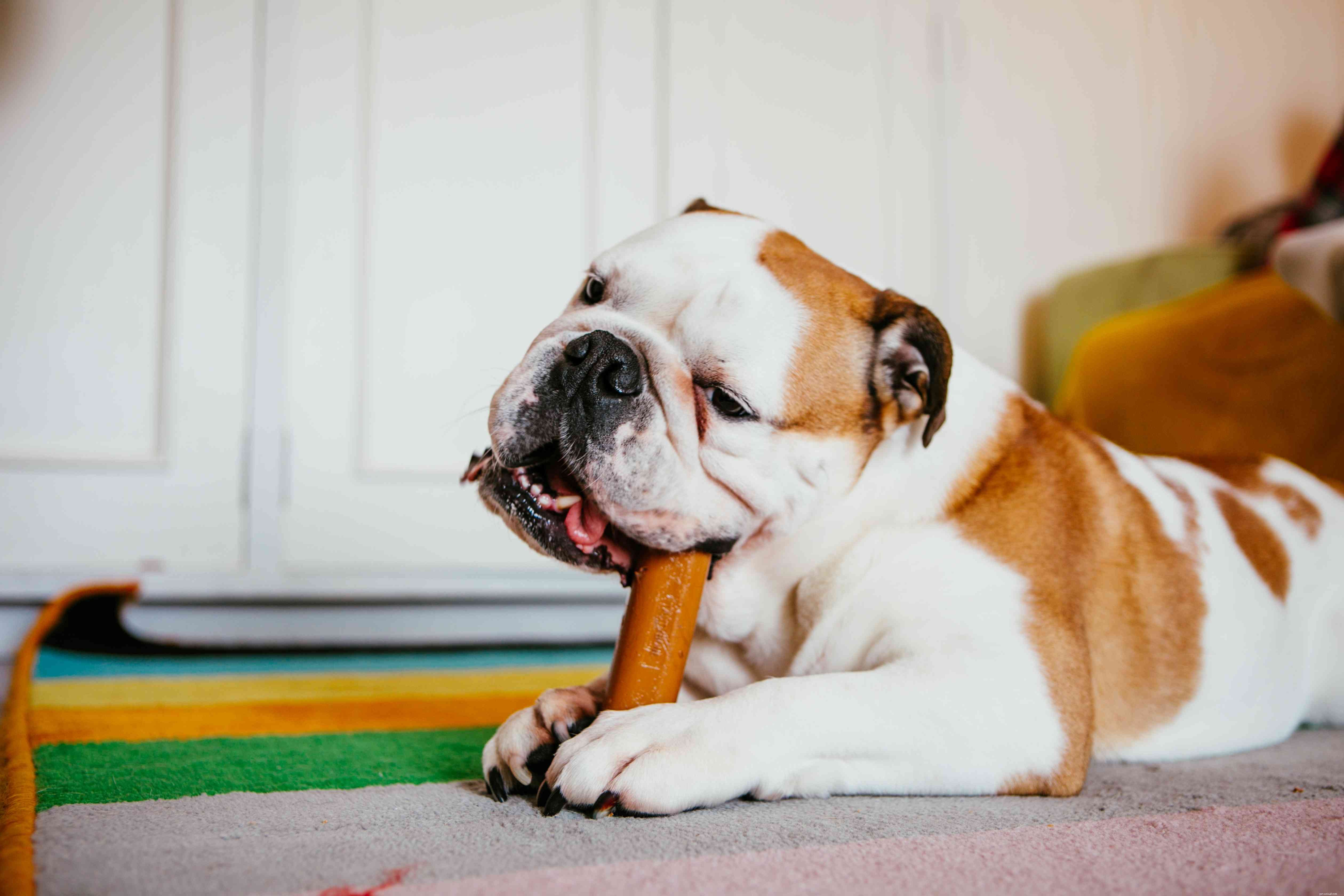 What Are Dewclaws? Understanding Their Role in Dogs and Cats
