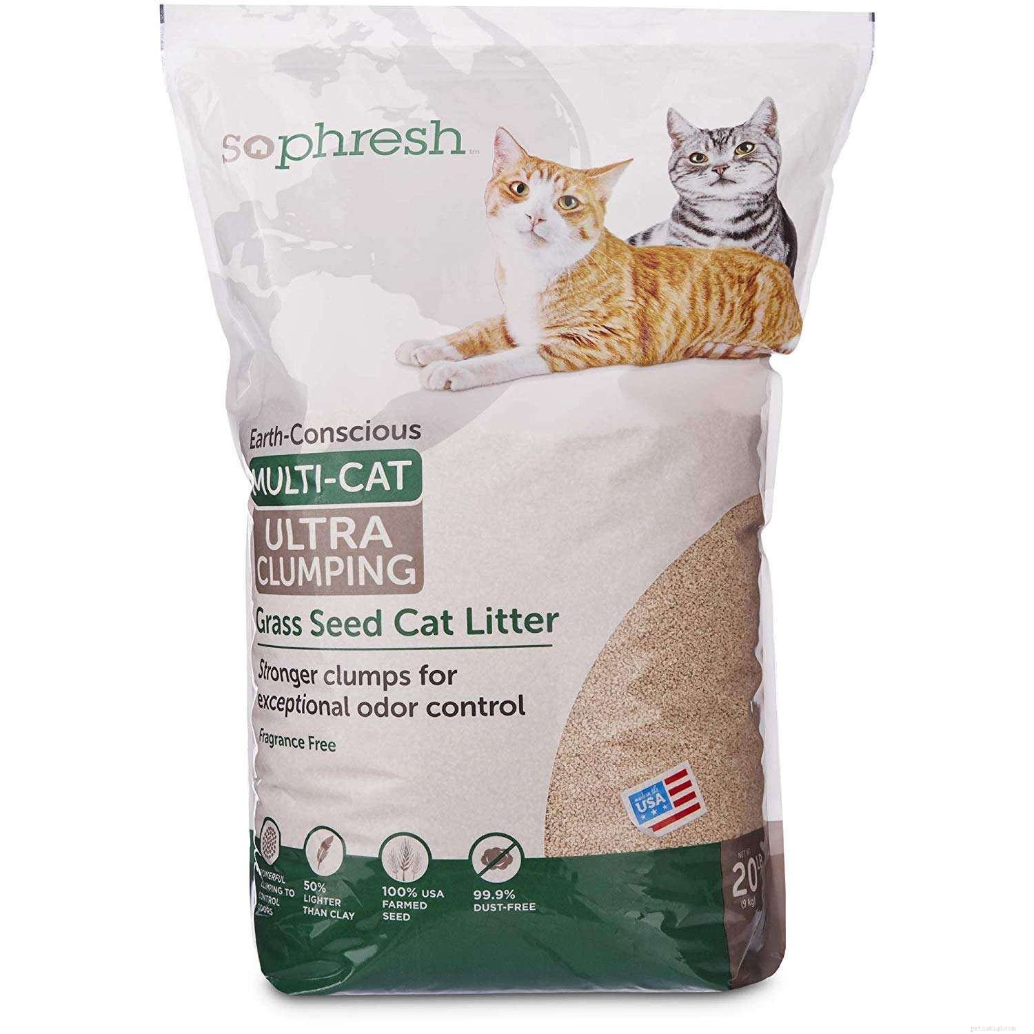 8 Types of Cat Litter: How to Pick the Best for Your Feline