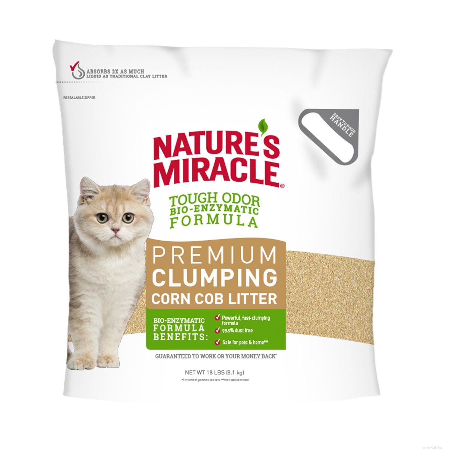 8 Types of Cat Litter: How to Pick the Best for Your Feline
