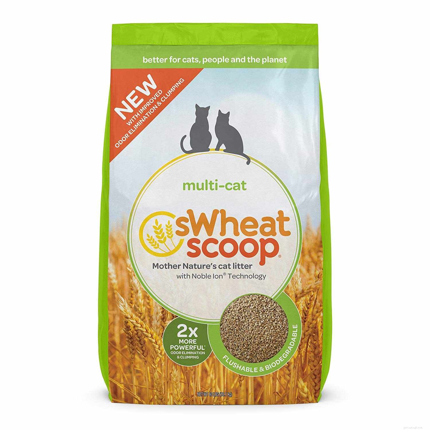 8 Types of Cat Litter: How to Pick the Best for Your Feline