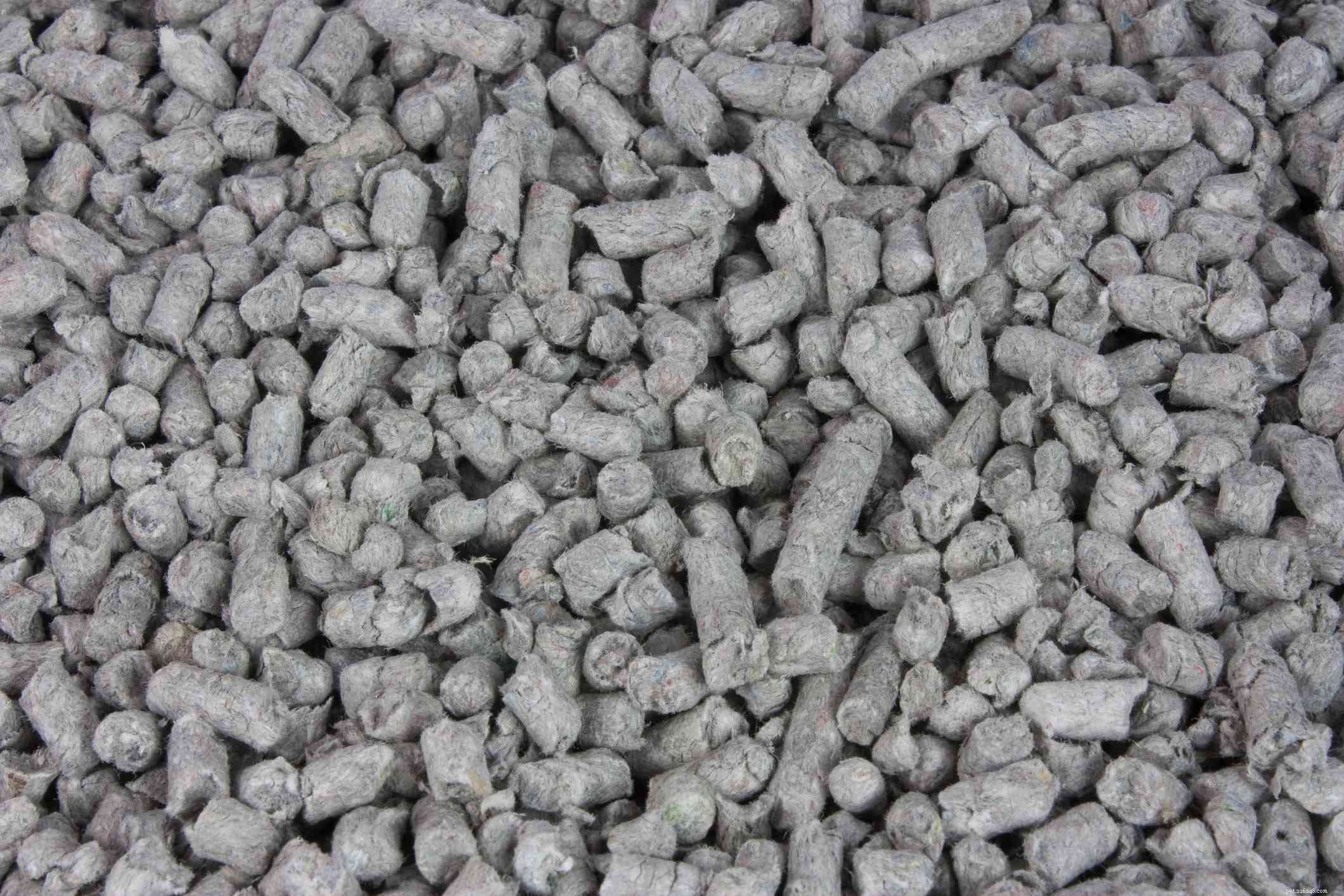 8 Types of Cat Litter: How to Pick the Best for Your Feline