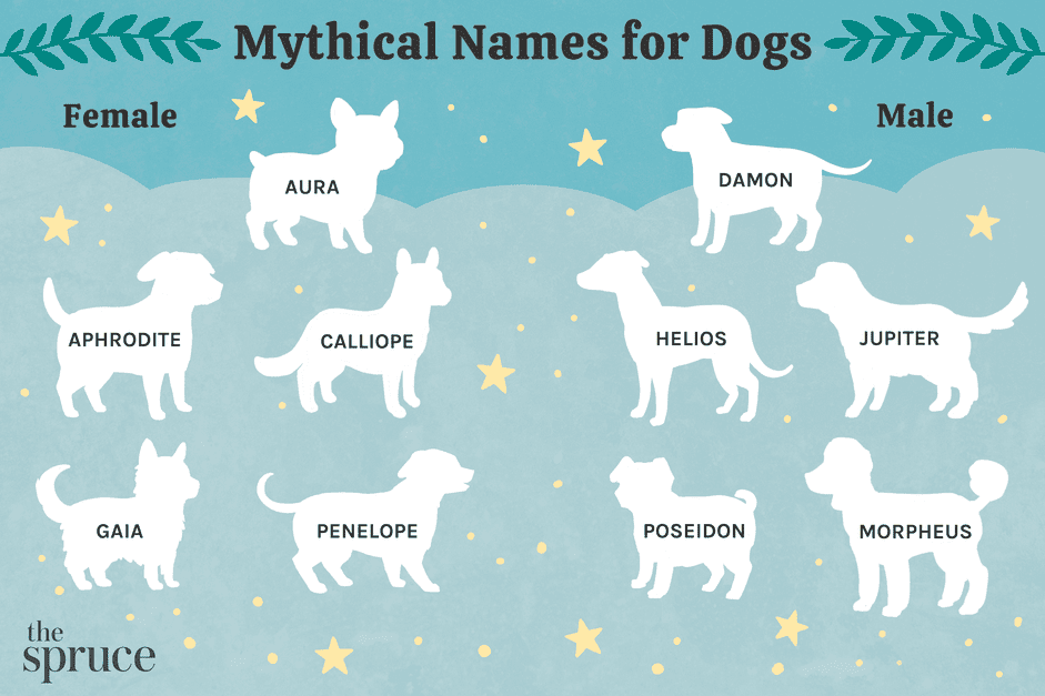 55 Legendary Dog Names: Mythic & Majestic Choices for Your Pup
