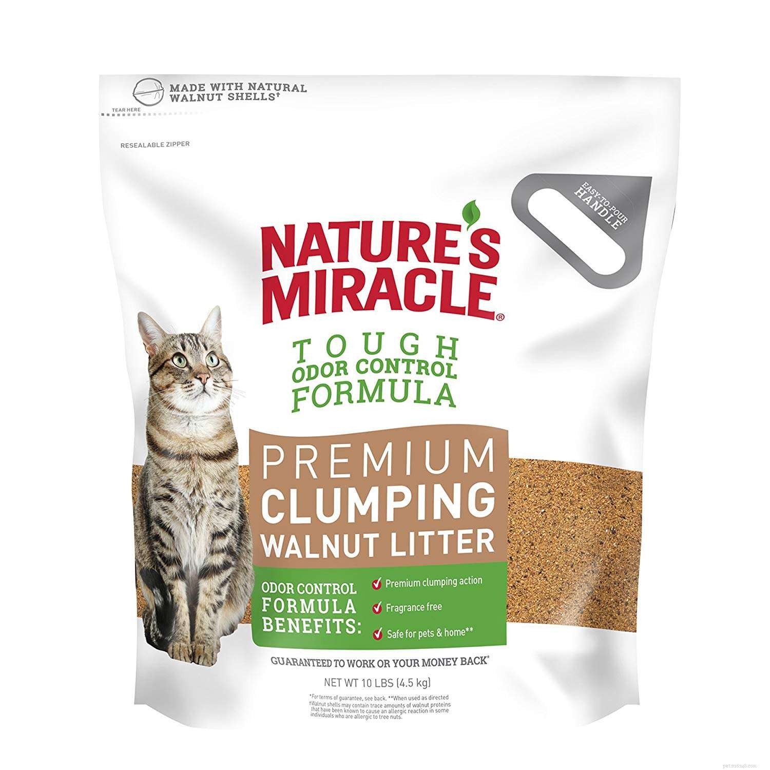 8 Types of Cat Litter: How to Pick the Best for Your Feline
