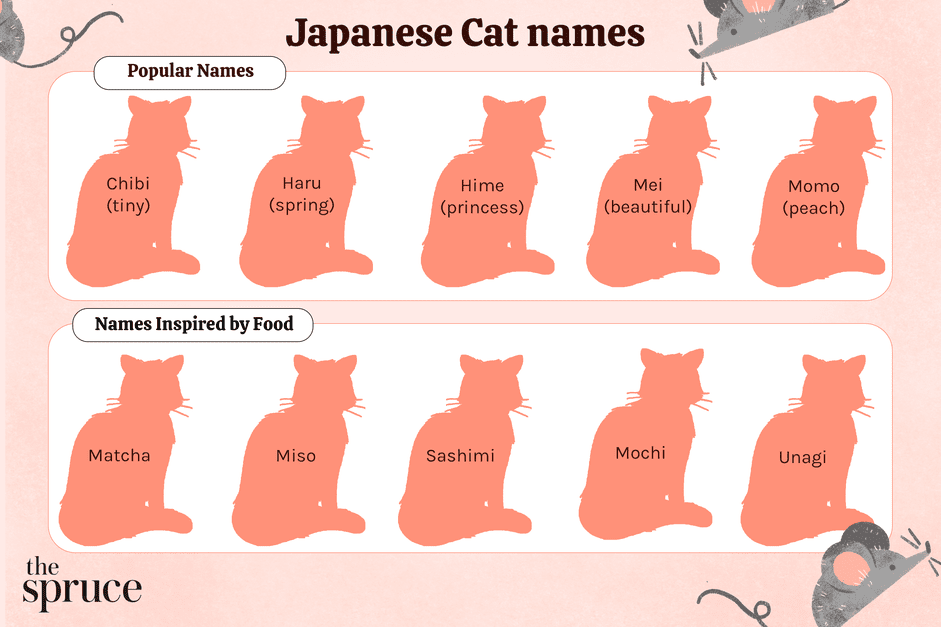 75 Beautiful Japanese Cat Names with Meaningful Origins