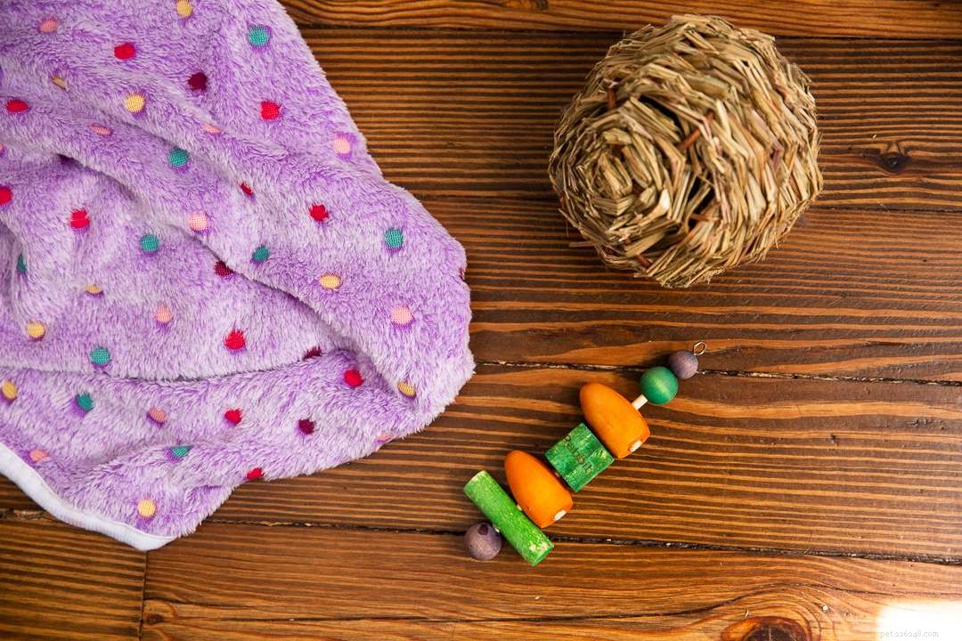 DIY Rabbit Toys: Simple, Safe, and Affordable Household Ideas