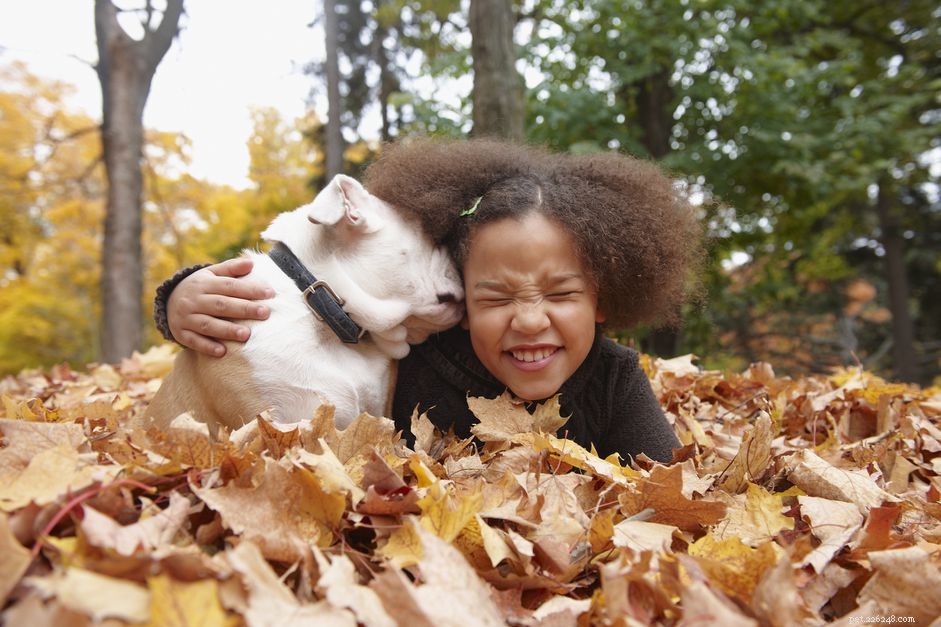 Top 10 Small Dog Breeds Perfect for Families with Kids