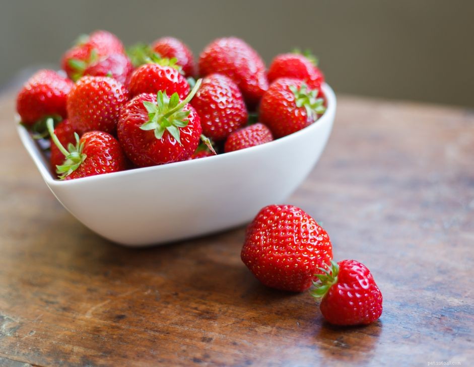 Can Dogs Safely Eat Strawberries? Expert Tips & Guidelines