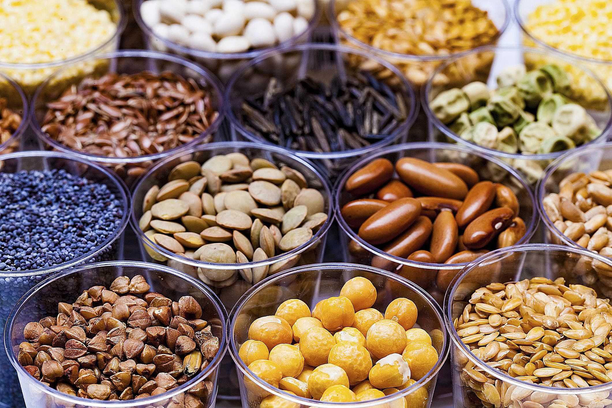 10 Everyday Foods That Can Harm Your Bird – Keep Your Feathery Friend Safe