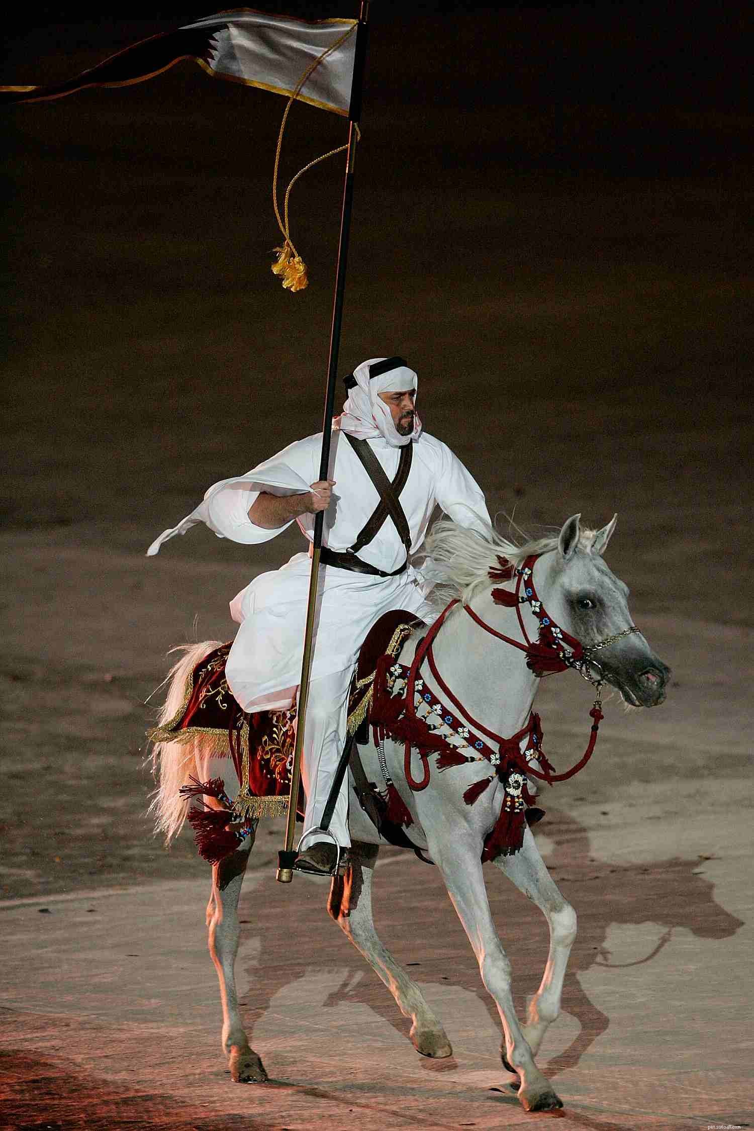 15 Intriguing Horse Facts Every Enthusiast Should Know