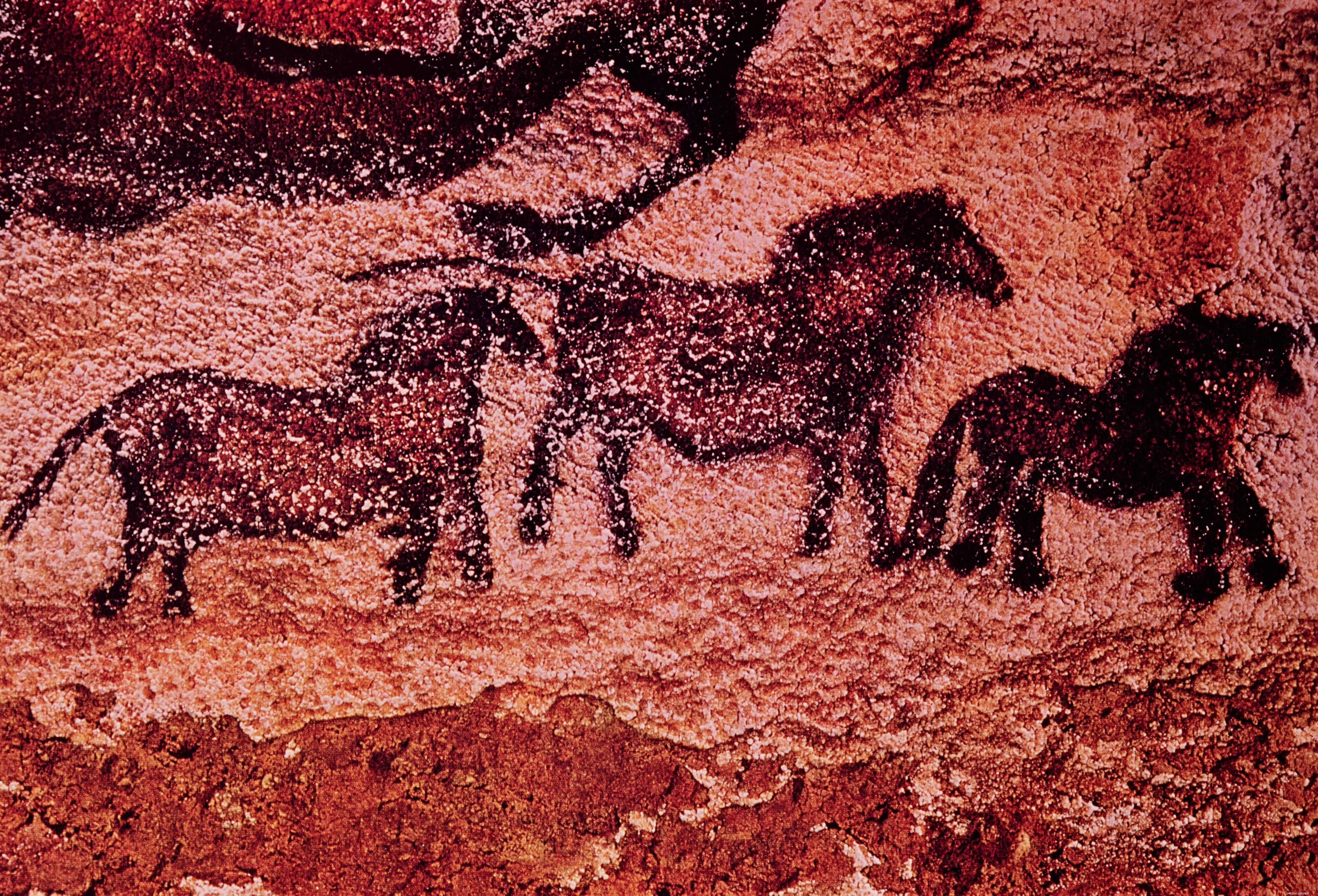 15 Intriguing Horse Facts Every Enthusiast Should Know