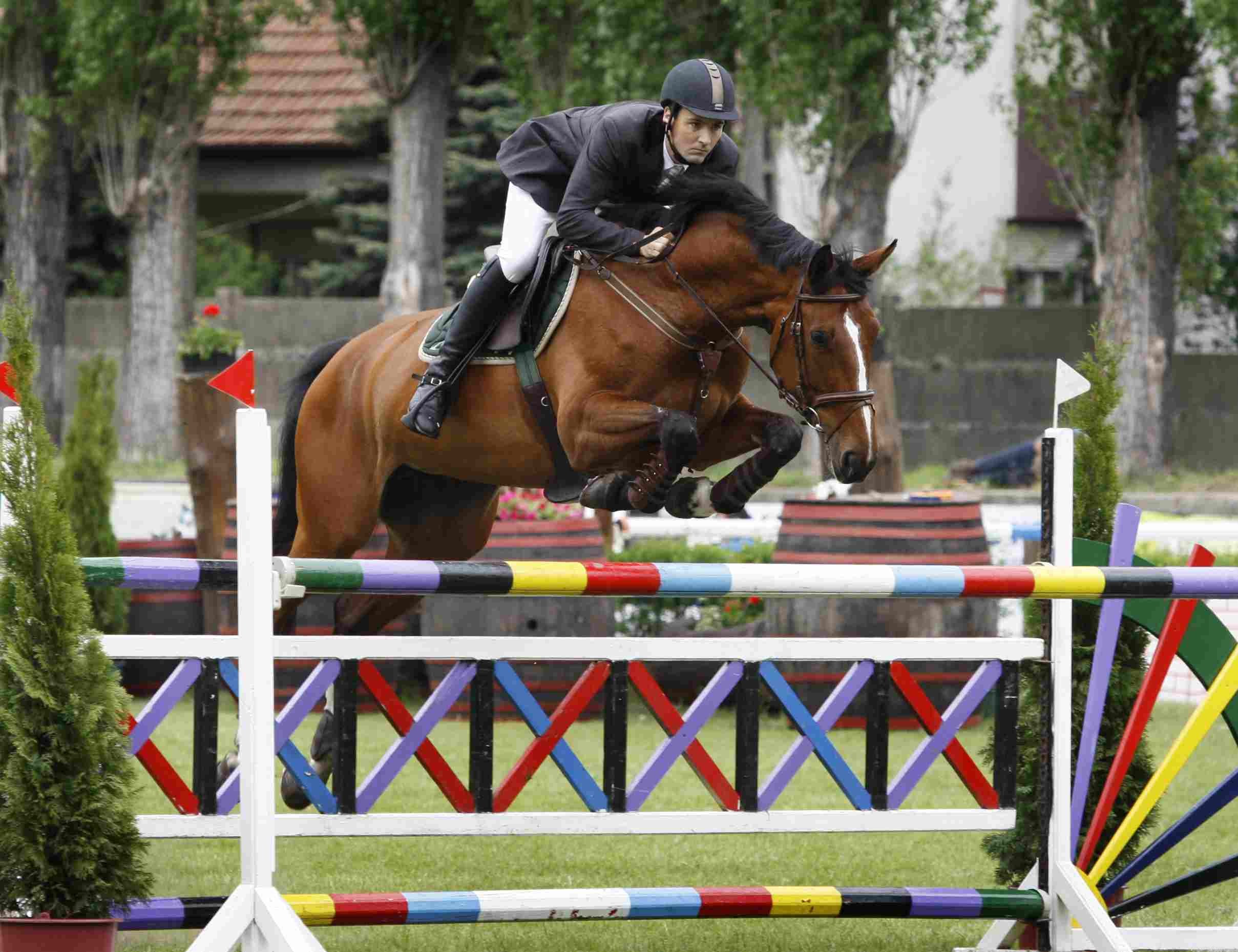 Explore the Three Olympic Equestrian Sports: Dressage, Eventing, Show Jumping