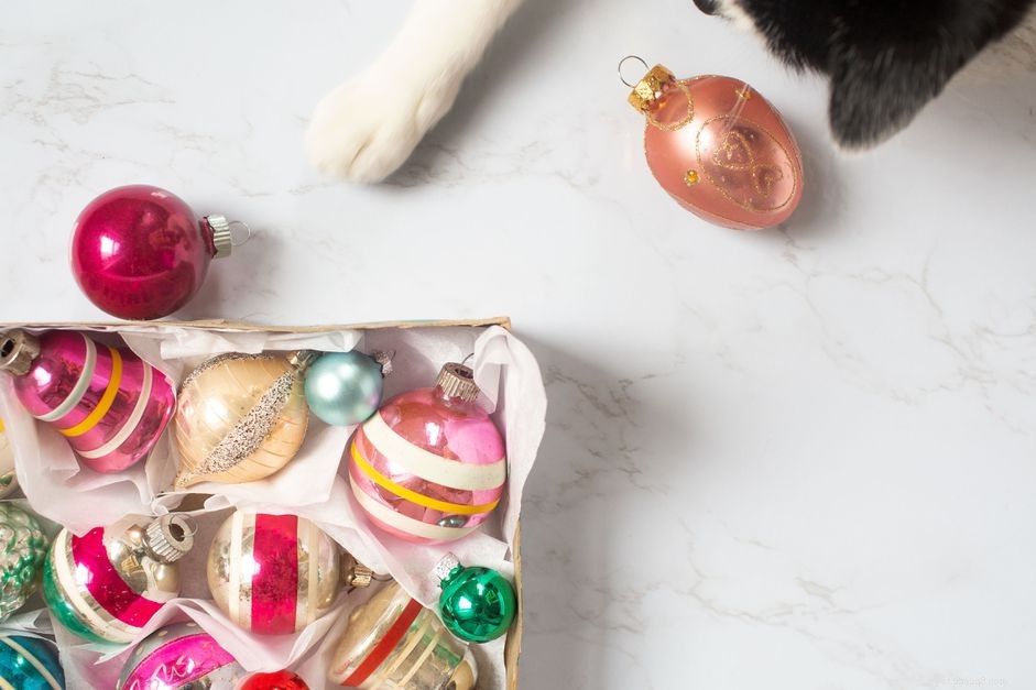 10 Essential Holiday Safety Tips for Your Cat