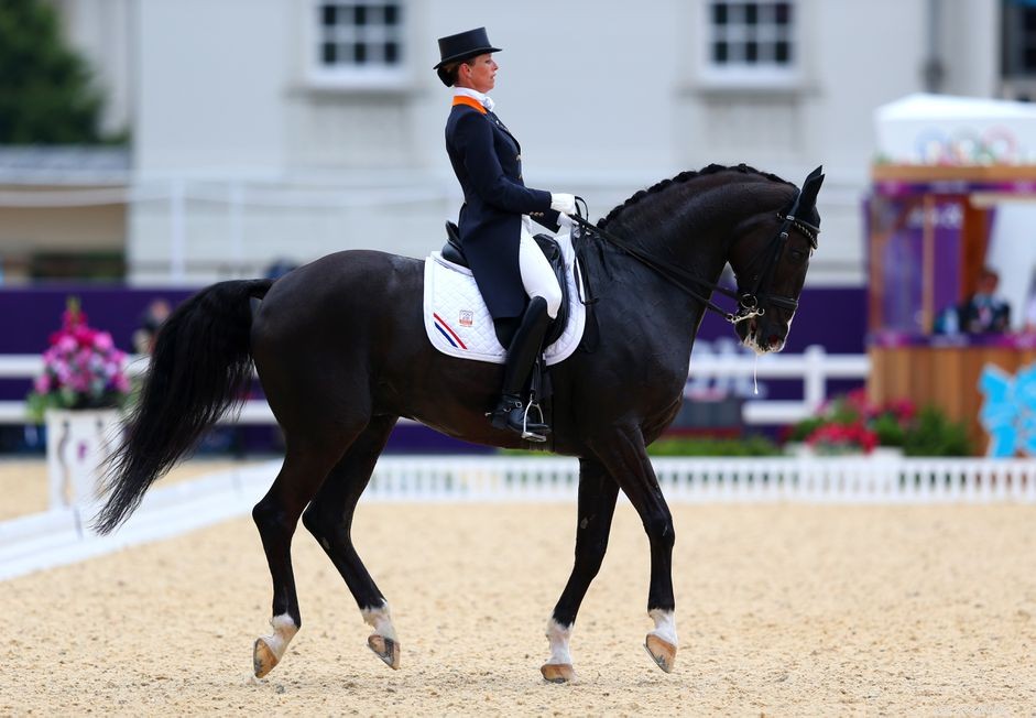 Olympic Equestrian Competition: Rules, Judging, and Official Standards