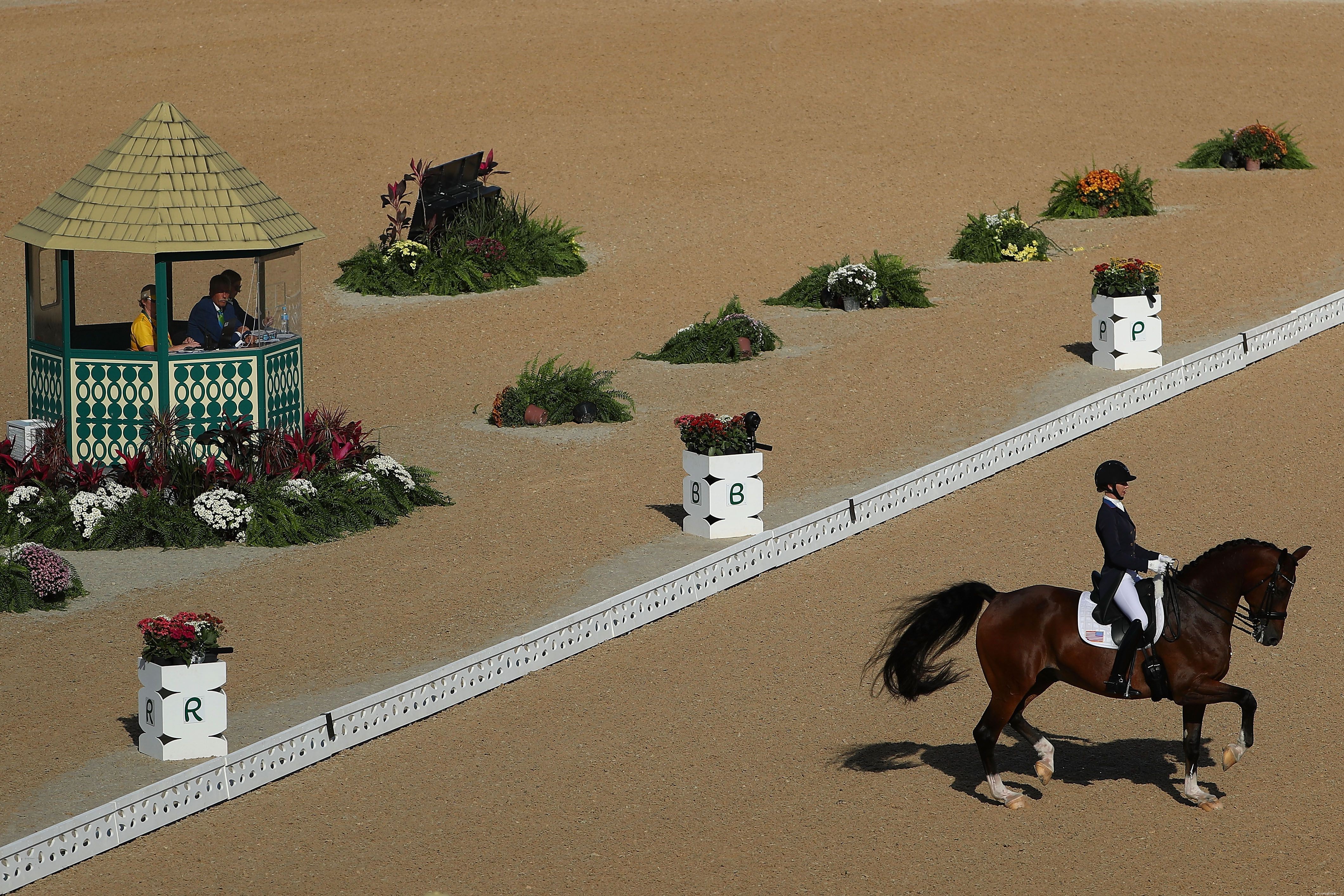 Olympic Equestrian Competition: Rules, Judging, and Official Standards