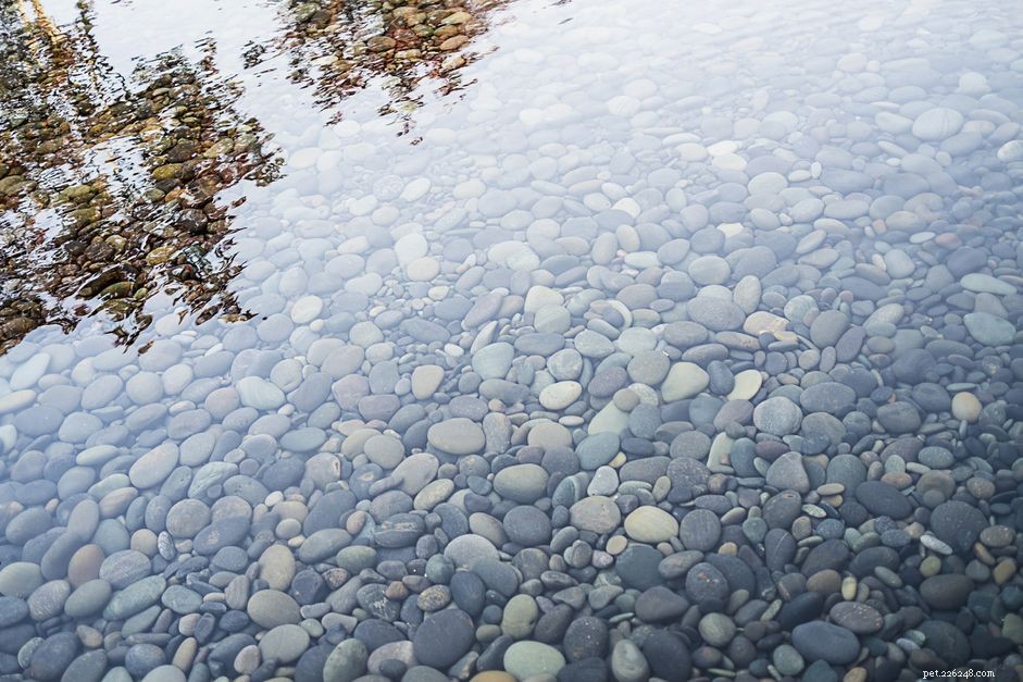 Using Outdoor Gravel in Aquariums: Is It Safe? Risks & Testing Tips