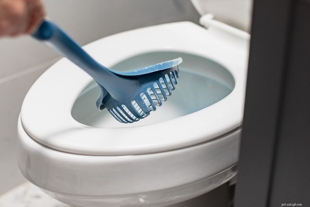 How to Properly Dispose of Cat Litter: A Clean, Safe Guide