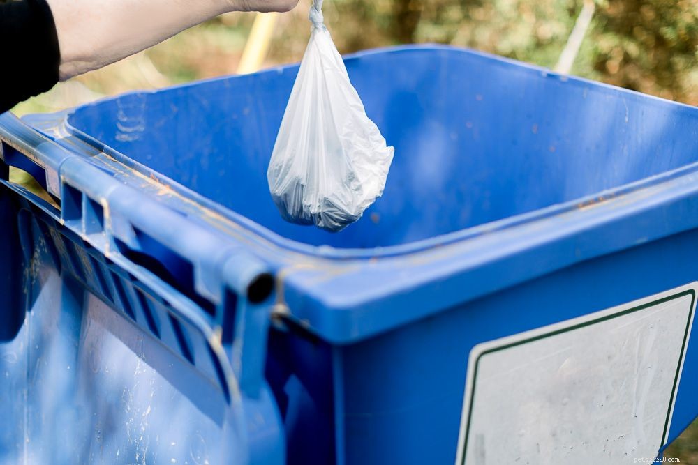How to Properly Dispose of Cat Litter: A Clean, Safe Guide