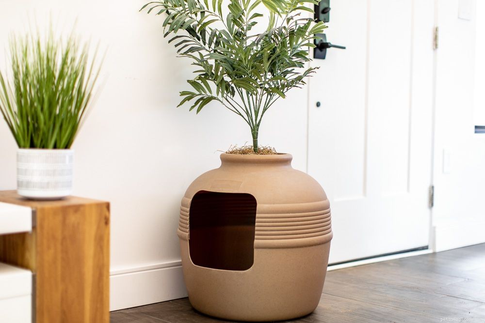 How to Choose the Ideal Spot for Your Cat’s Litter Box: A Practical Guide