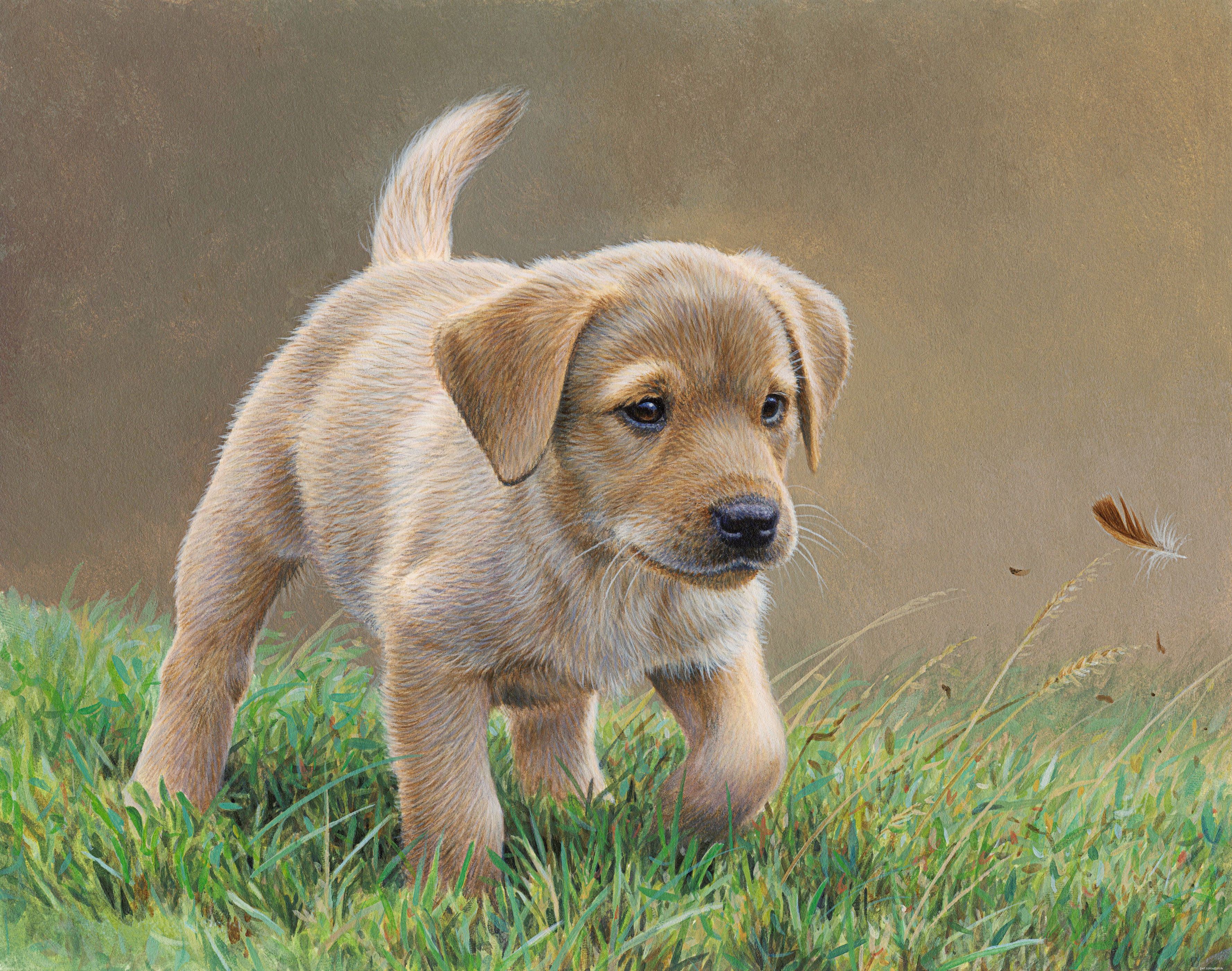Top 7 Puppy Diseases to Watch: Early Signs & Prevention
