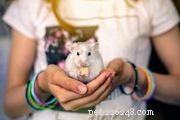 Understanding Why Hamsters May Eat Their Babies: Causes and Prevention