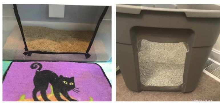 Understanding and Managing Common Urinary Issues in Cats
