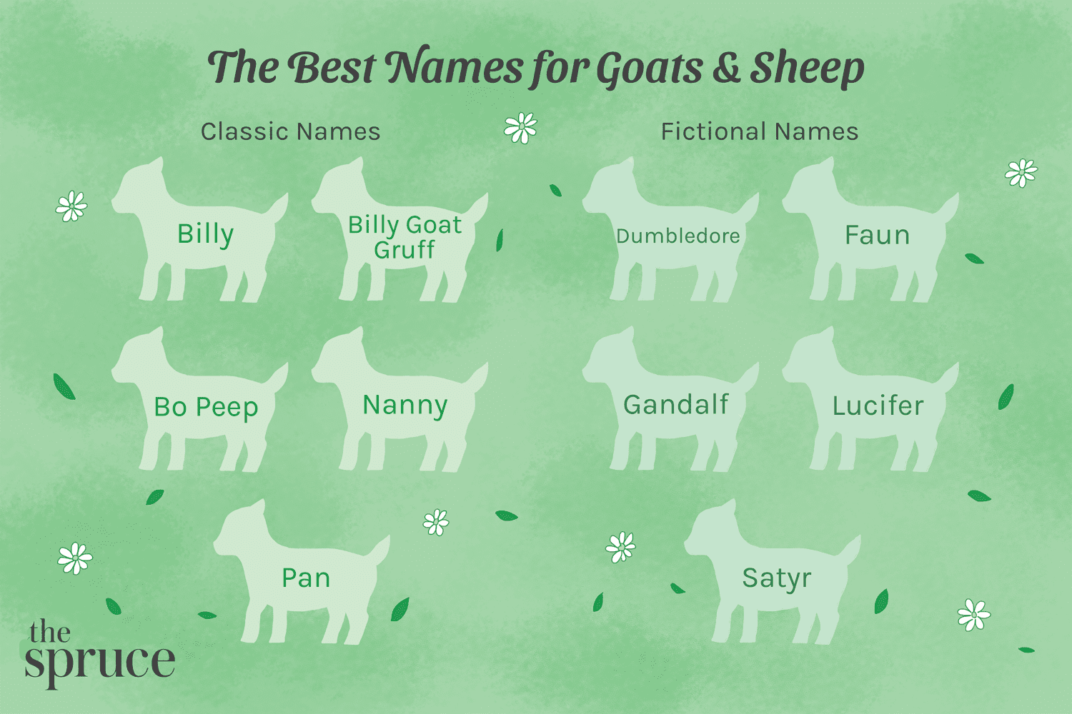54 Creative Names for Pet Goats & Sheep – Find the Perfect Fit