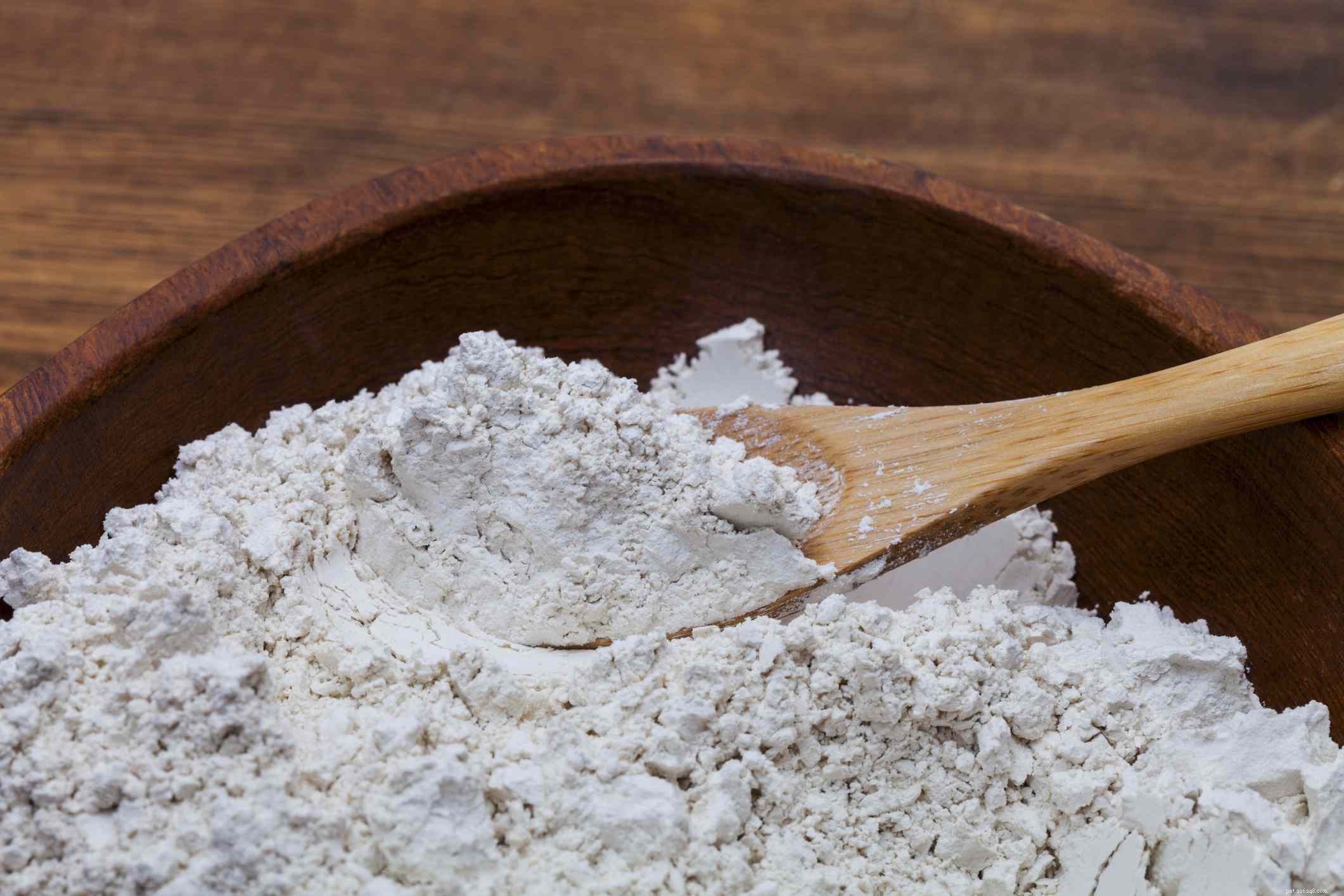 Diatomaceous Earth: A Safe, Effective Solution for Flea Control
