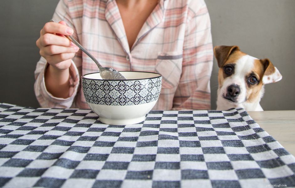 Is Quinoa Safe and Beneficial for Dogs?