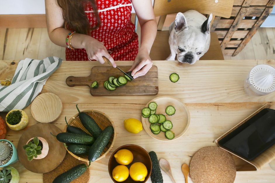 Is Cucumber Safe for Dogs? A Guide to Healthy Treats