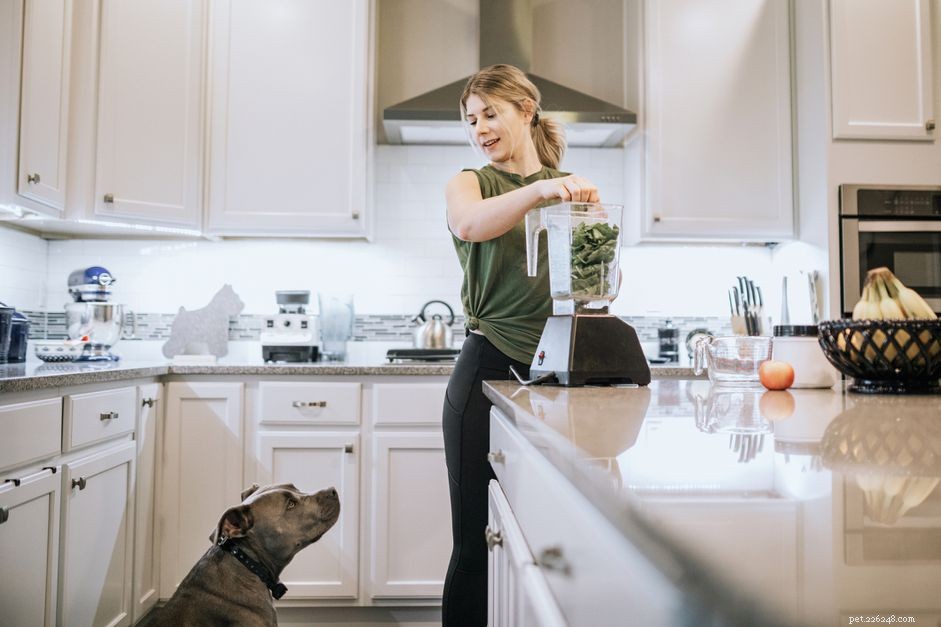 Is Spinach Safe for Dogs? A Nutritional Overview