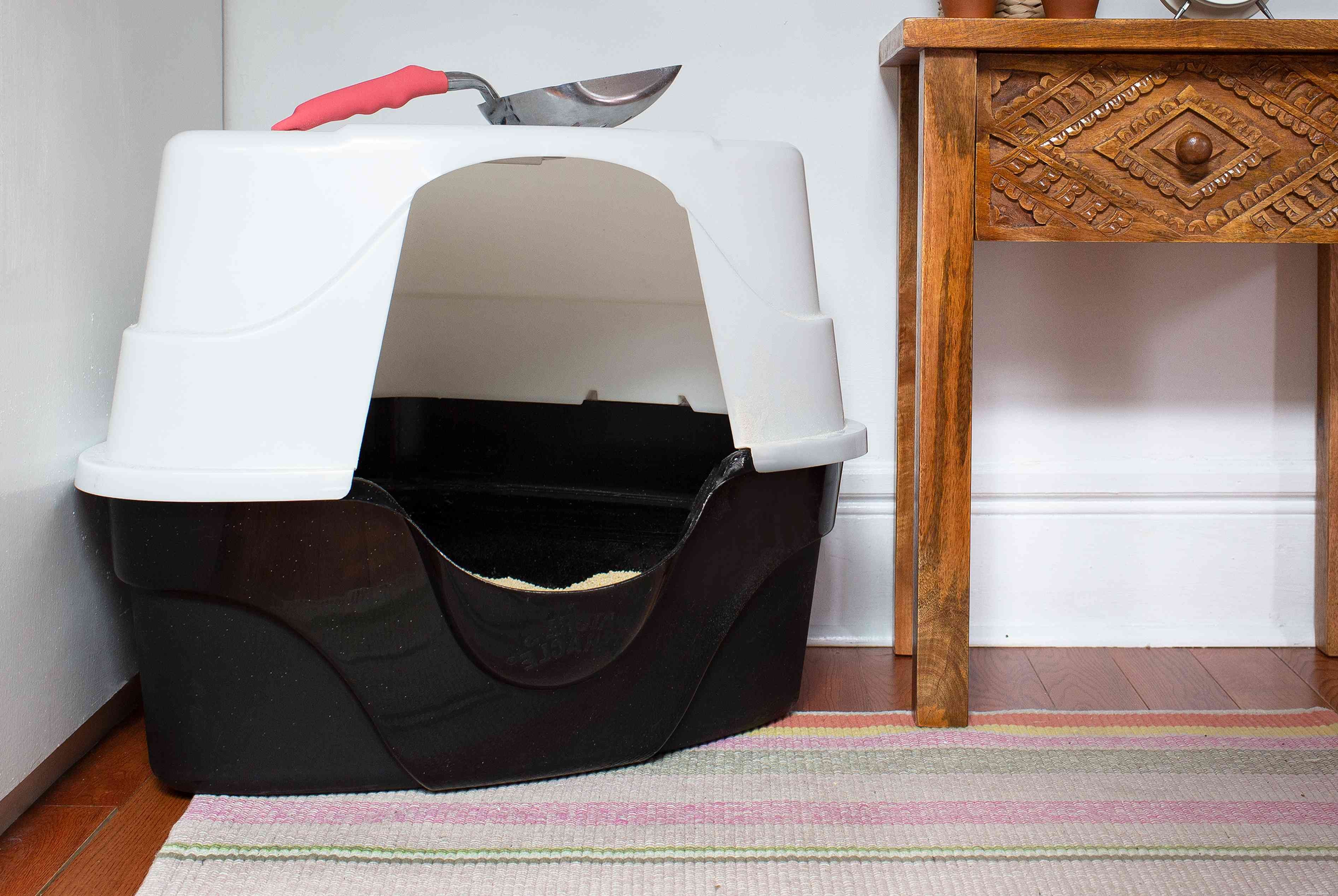 Keep Your Cat s Litter Box Fresh: Simple Cleaning Tips