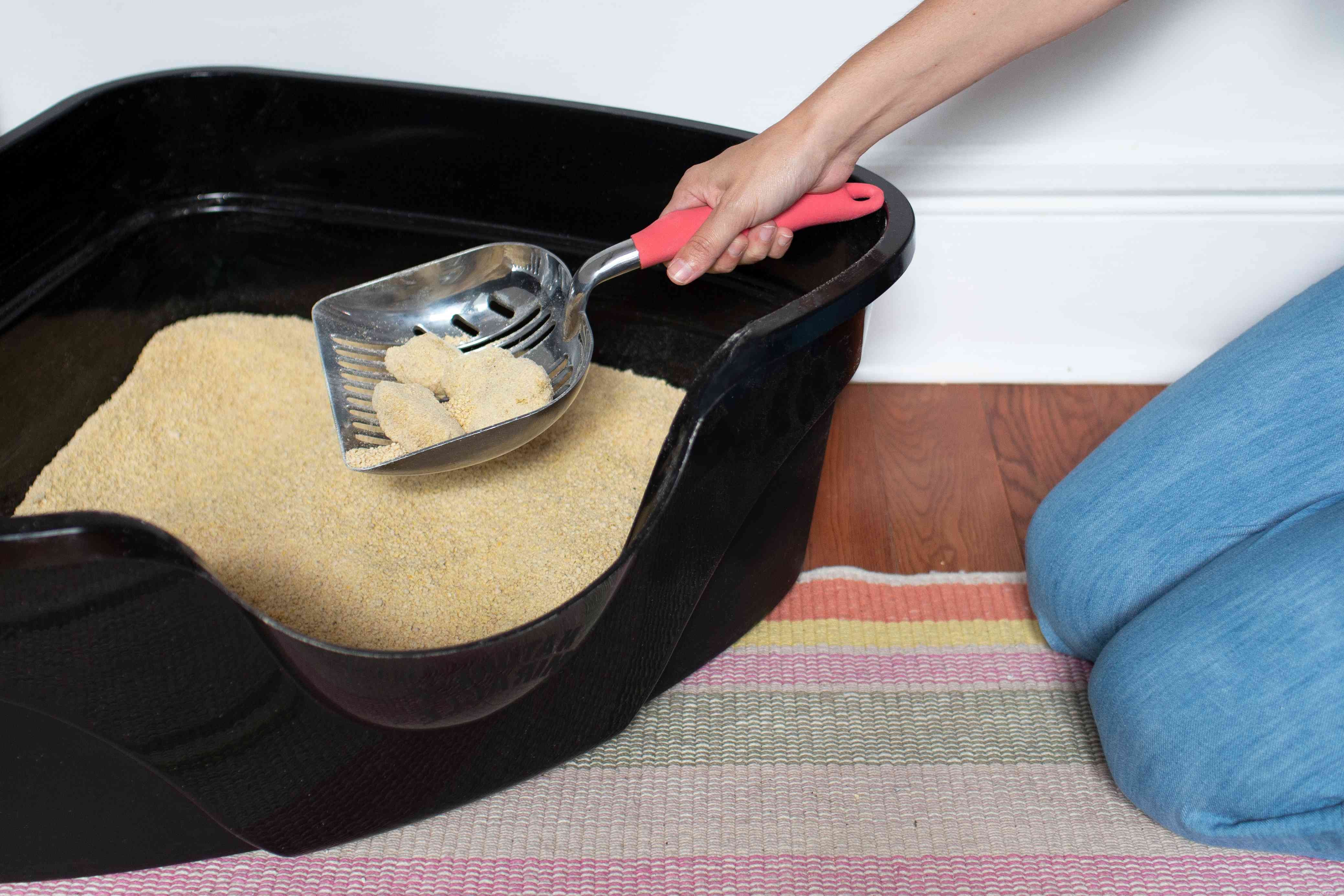 Keep Your Cat s Litter Box Fresh: Simple Cleaning Tips
