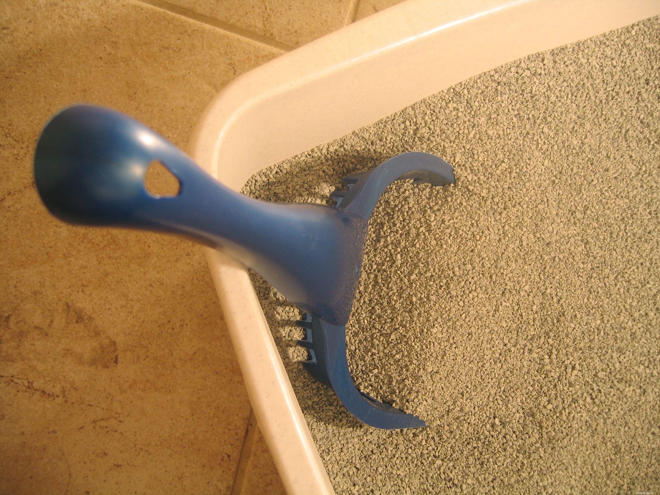 Keep Your Cat s Litter Box Fresh: Simple Cleaning Tips