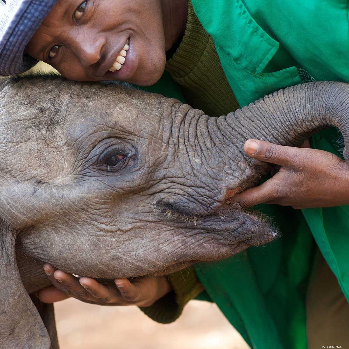 Top 9 Animal Charities You Can Trust to Make a Difference