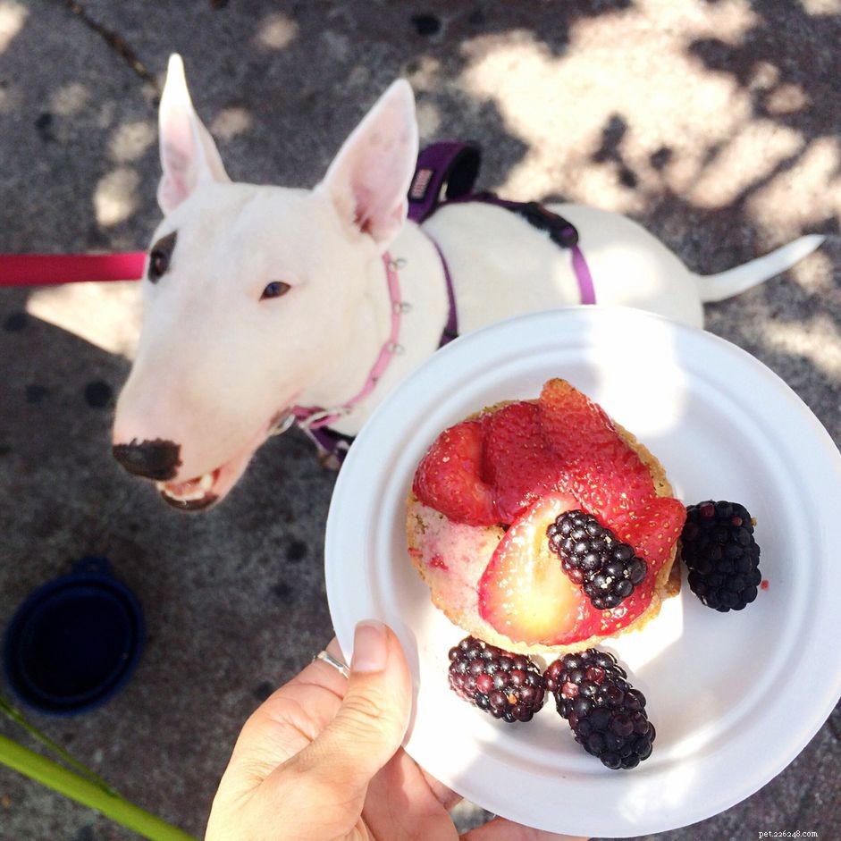 Are Blackberries Safe and Nutritious for Dogs?