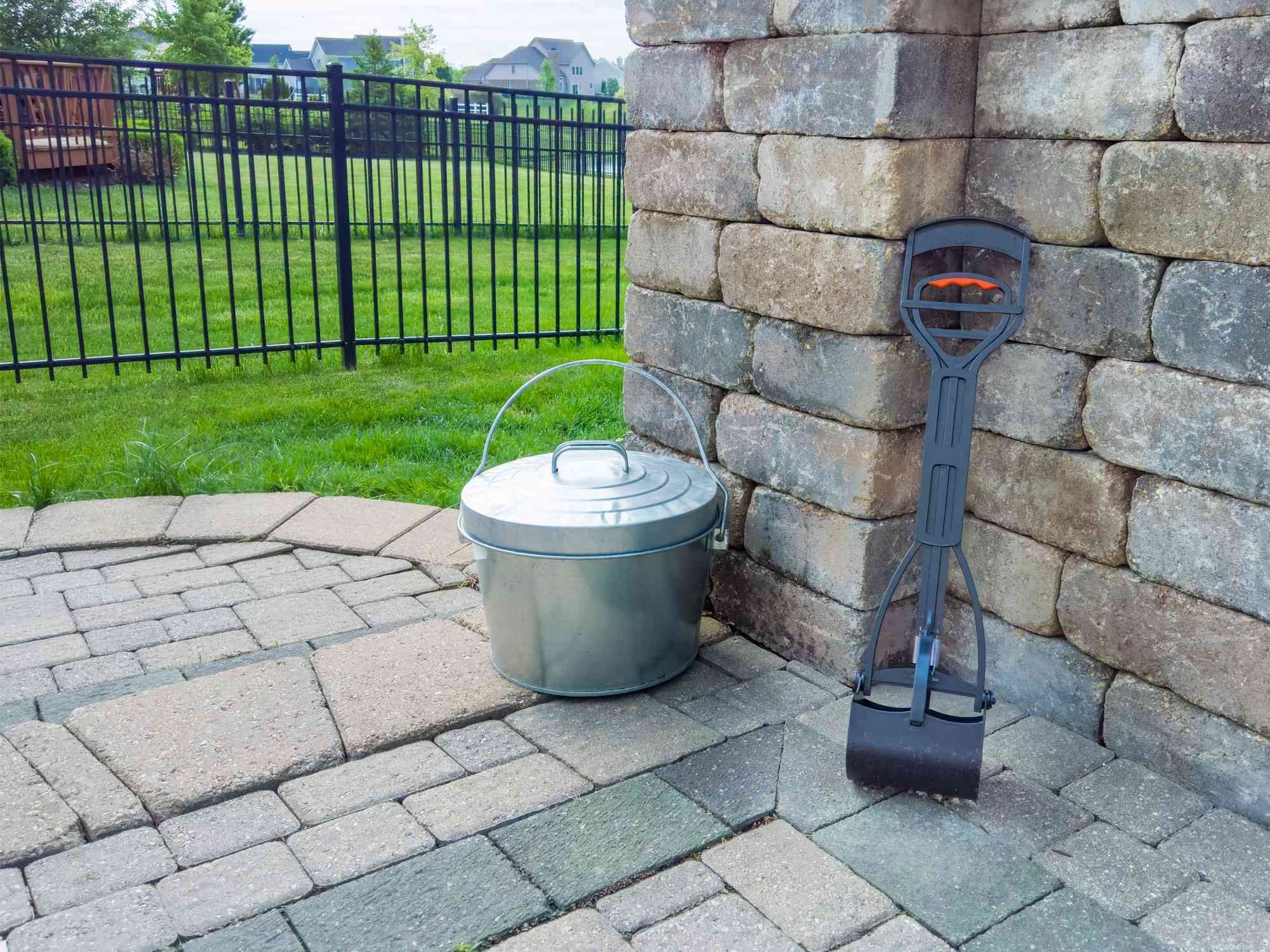 6 Expert Tips to Make Dog Waste Cleanup Easier