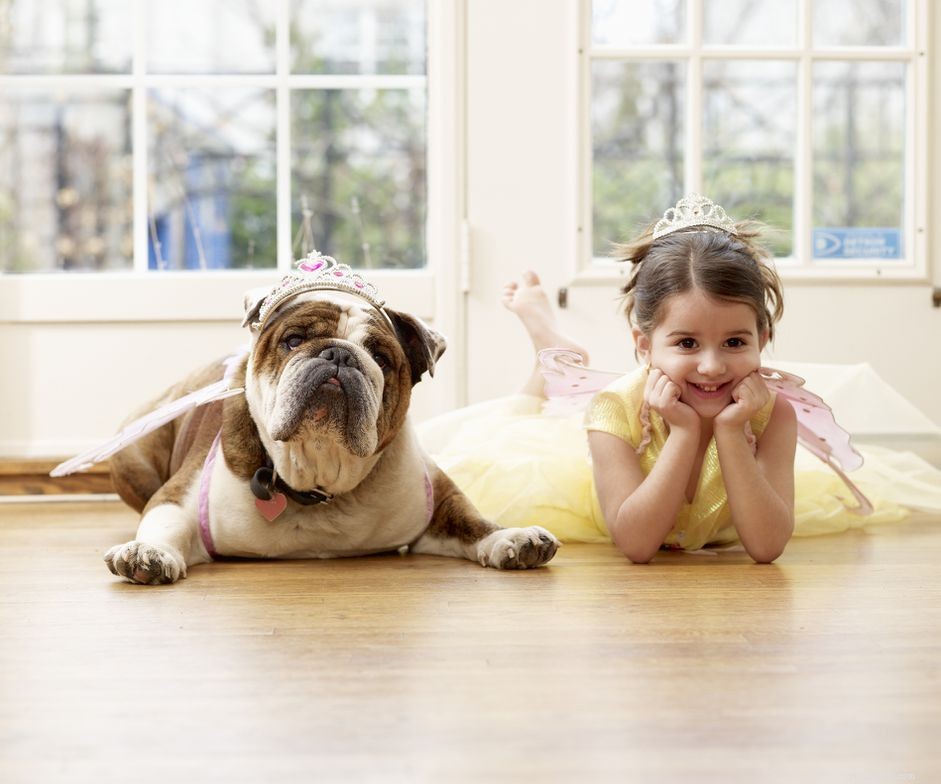 Top 10 Medium‑Sized Dog Breeds Perfect for Families with Kids
