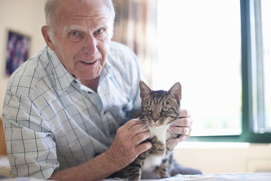 Cat Brain Tumors: Symptoms, Early Detection, and How to Get Help
