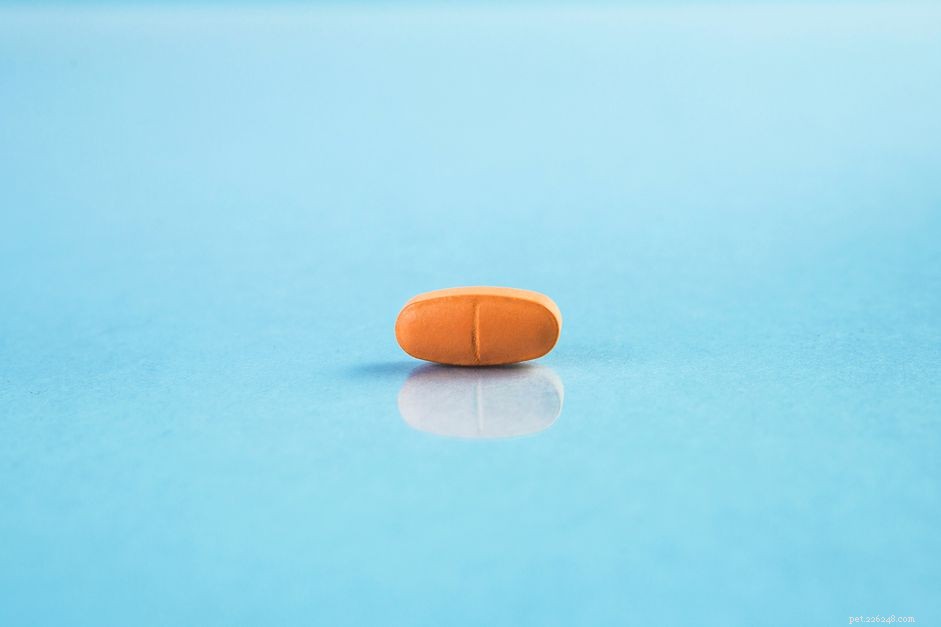 Thyrosyn for Dogs: Effective Treatment for Canine Hypothyroidism