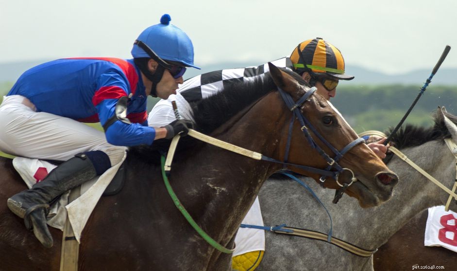 Inspiring Names of Legendary Racehorses