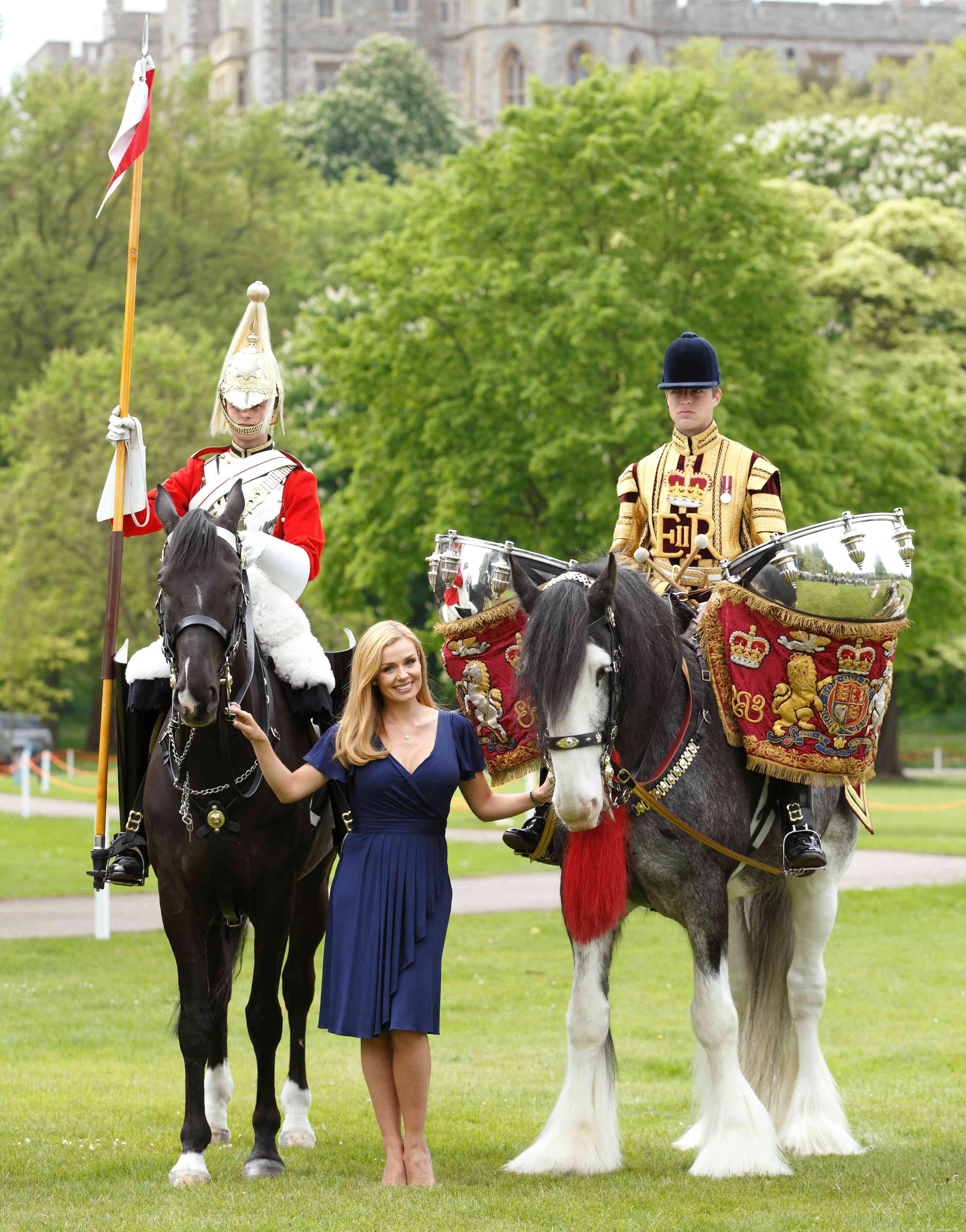 The Drum Horse: A Comprehensive Breed Profile