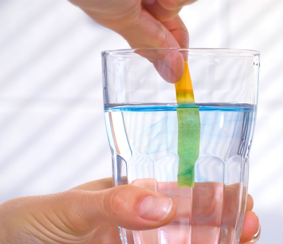 Mastering pH Levels in Saltwater Aquariums for Healthy Reef Ecosystems