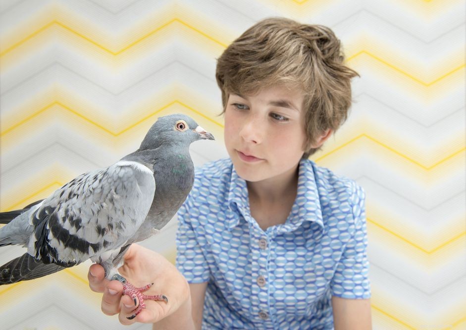 Common Pigeon Diseases: Symptoms, Causes, and Treatments
