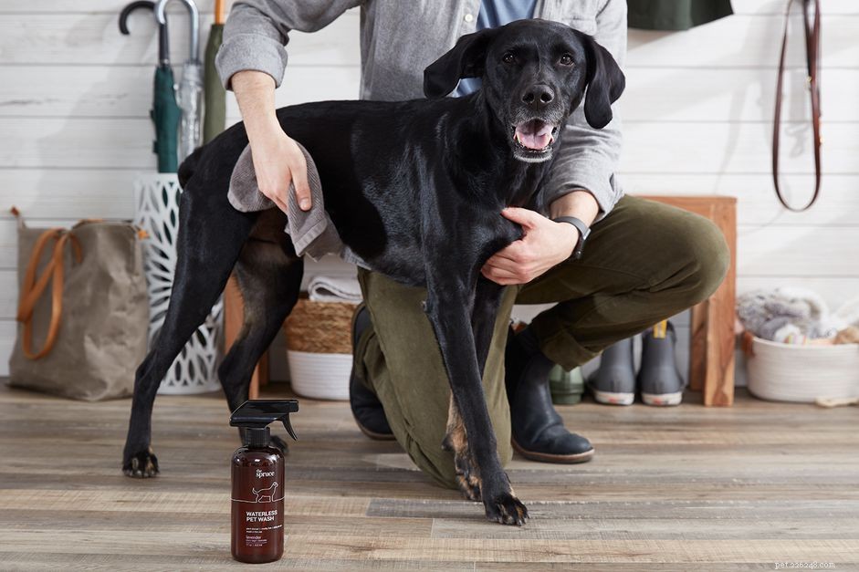 7 Time‑Saving Hacks for Busy Pet Owners