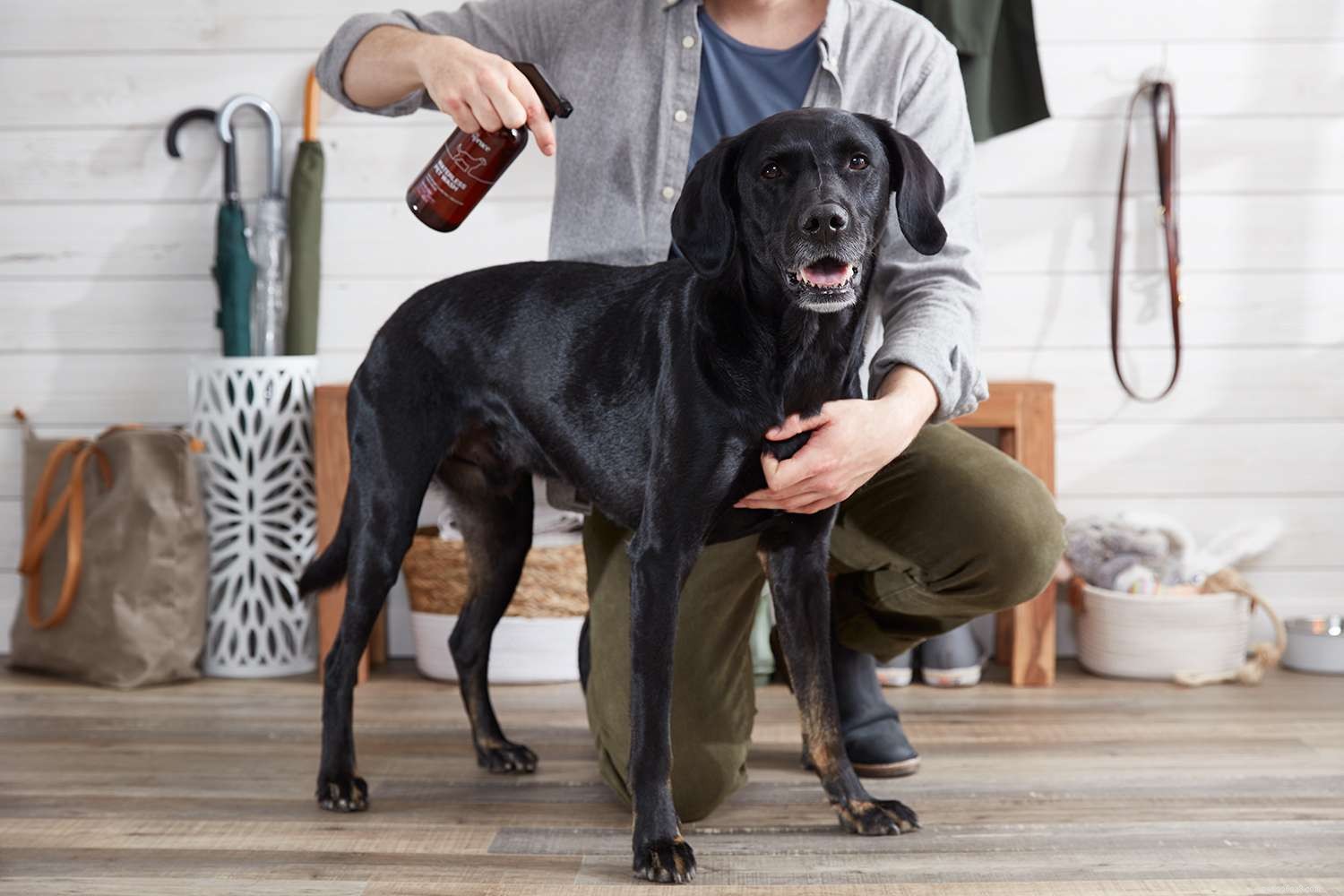 7 Time‑Saving Hacks for Busy Pet Owners