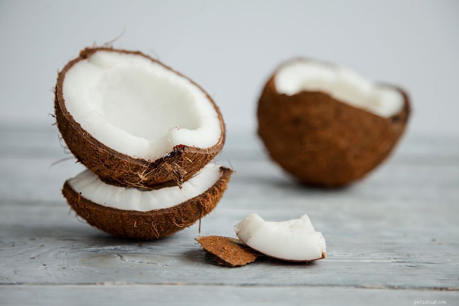 Can Cats Safely Consume Coconut? Expert Insight