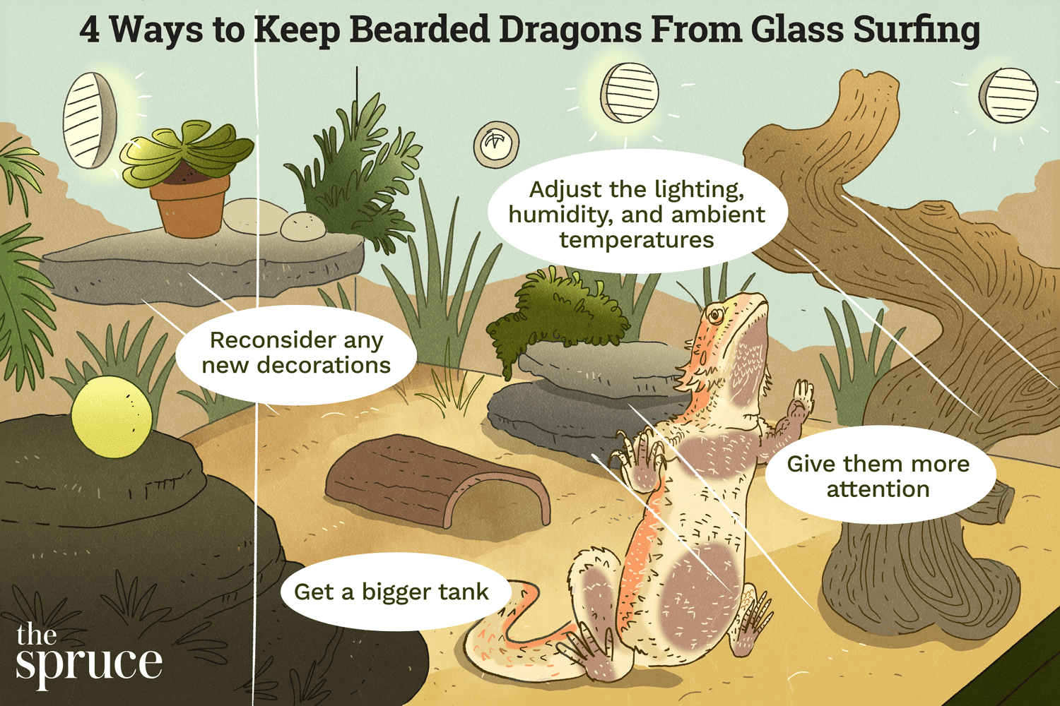 Prevent Glass Surfing in Bearded Dragons: Causes, Symptoms & Effective Solutions