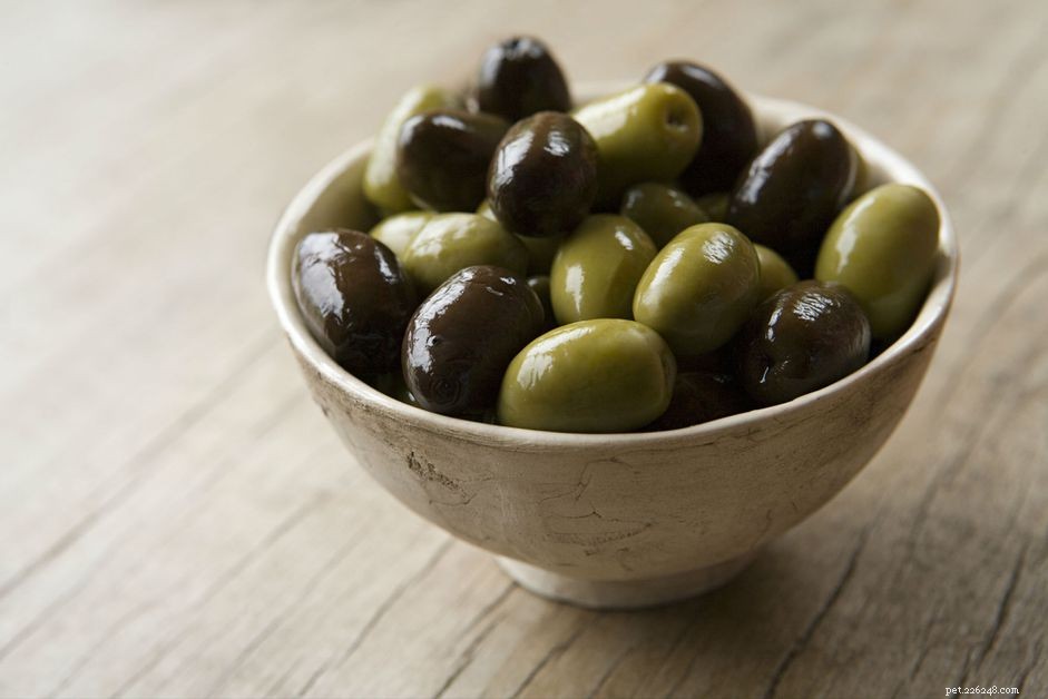 Are Olives Safe for Dogs? What You Need to Know