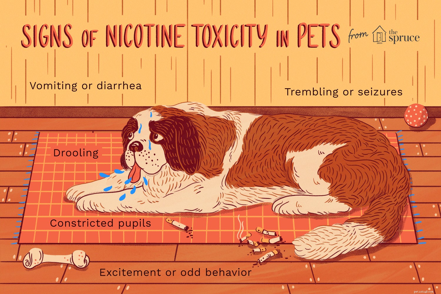 Preventing and Recognizing Nicotine Poisoning in Pets